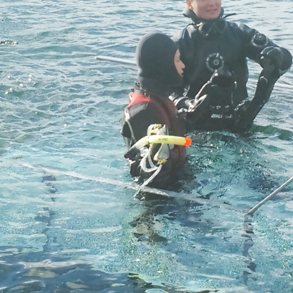 コーディネーター　紹介